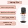 Aromazeia Clove Essential Oil | Exotic Aroma Diffuser Oil | Ideal For Aromatherapy & Meditation | Organic Essential Oil | Undiluted, Therapeutic Grade & Steam Distilled - 10ml view 3