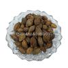 IndianJadiBooti Harad Badi Yellow Haritaki | Yellow Terminalia Chebula | Kadukkai | Haritaki Natural | Inknut | Harad Badi Pili - Harad Big | Karakkaya |100 Grams Pack view 2