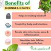 IndianJadiBooti Ayurvedic Edible Bhringraj Dry Leaves (Eclipta Alba) | False Daisy | Bhangra Bringraj 100 Grams Pack view 3