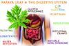 Organic Prime Papaya Leaf Powder - 200 GM by Organic Prime view 4