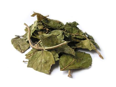 Organicgreen Herb Gurmar | Gudmar Leaves | |MADHUNASHINI/Sirukurinjan | Podapatri | Madhunashini Leaves Gymnema Sylvestere Dry - 1KG (1000 GMS)