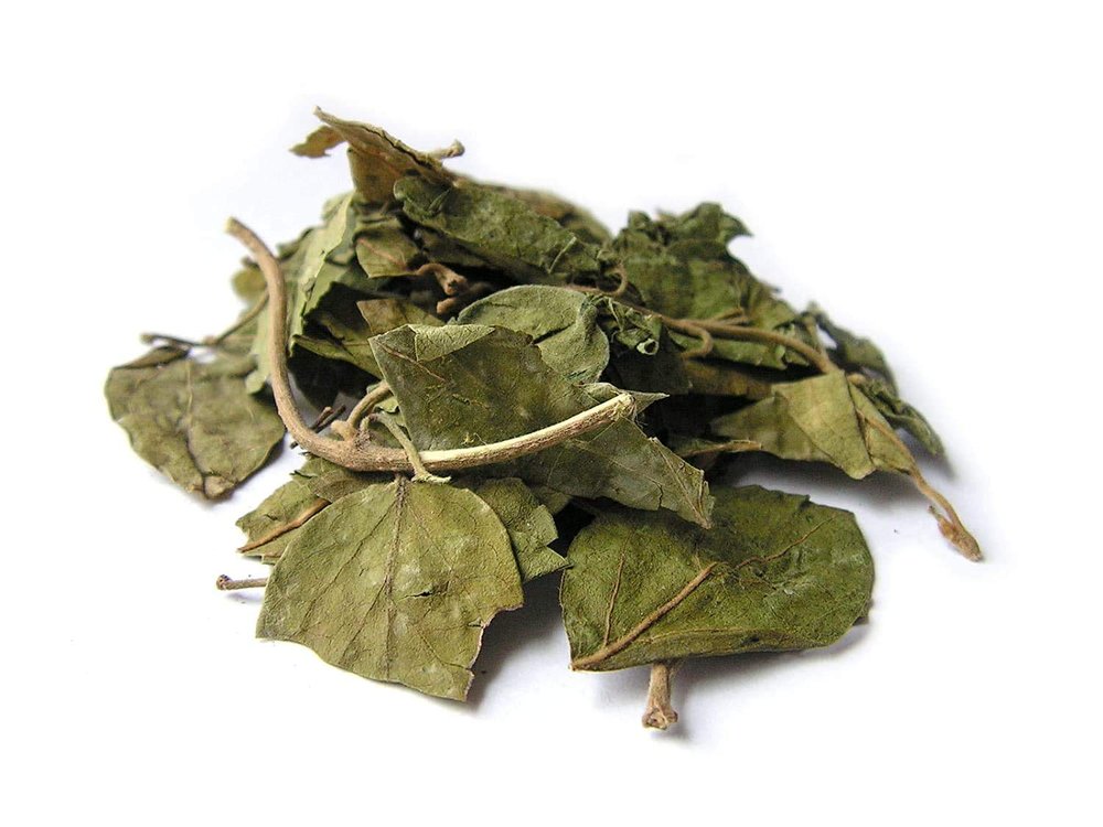Organicgreen Herb Gurmar | Gudmar Leaves | |MADHUNASHINI/Sirukurinjan | Podapatri | Madhunashini Leaves Gymnema Sylvestere Dry - 1KG (1000 GMS)