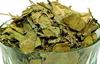 Organicgreen Herb Gurmar | Gudmar Leaves | |MADHUNASHINI/Sirukurinjan | Podapatri | Madhunashini Leaves Gymnema Sylvestere Dry - 1KG (1000 GMS) view 2