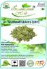 Organicgreen Herb Gurmar | Gudmar Leaves | |MADHUNASHINI/Sirukurinjan | Podapatri | Madhunashini Leaves Gymnema Sylvestere Dry - 1KG (1000 GMS) view 3