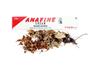 Fine Morning Pharma | Ayurvedic and Herbal | Combo Pack Of 2 VedVigoX Capsules & Anafine Cream Helps to boost Immunity & Reduce Inflammation Relief From Cuts and Burns Suitable for Adults. view 3