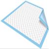 NavaFresh Basics Cure-Well Disposable Underpads 60'' x 90'' (10-Pack) Incontinence Pads, Blue, Super Absorbent Protection for Kids, Adults, Seniors view 1