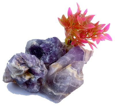 Rocksmins Specimen Amethyst Indian 800Gm Natural Rough Crystal Stone for Education Reiki Healing and Crystal Healing Stones Aura Cleaning Tumbling Chakras Vastu Meditation Health Wealth Happiness
