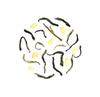 TeaSwan Exotic Jasmine Tea | Reduce Stress and Induce Calmness (Small) view 3