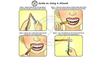 AK CREATION Natural Herbal Toothbrush Miswak Sticks - Pack of 3 Sticks view 4