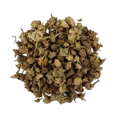 TRH Gokhru Bada - Pedalium Murex - Large Caltrops - Gokhroo Bada - Land Caltrops - Gokharu - Gorkhu - Gokshura (800 gm)