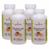 Ayurvedic Life Shatavari 120 Tablets Pack of 4 view 1