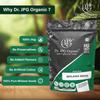 Dr. JPG Natural Bhilawa Seeds-200g / Semecarpus Anacardium/Marking Nut Seed/Bile Semecarpus Anacardium/inn Seed/ISO & GMP Certiffied. (Pack Of 1) view 3
