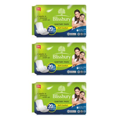 Blissbury L Sanitary Pads,20 Pads(240mm),Rash Free, Leakage Proof,Skin Friendly, Quick Absorption Pads for Women (Pack of 5)