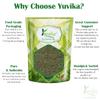 YUVIKA Kalmegh Powder - Chirayta Hara - Andrographis Paniculata 800 Grams view 3