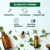 Globatic Herbs Eucalyptus Essential Oil 30 ML (Eucalyptus Globulus) Pure, Aromatherapy & 100% Therapeutic Grade view 2