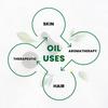 Globatic Herbs Eucalyptus Essential Oil 30 ML (Eucalyptus Globulus) Pure, Aromatherapy & 100% Therapeutic Grade view 3