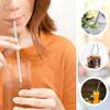 ECOPAL - Reusable Stainless Steel Metal Straw Set for Drinking Juice 4 Straight Straws with 1 Cleaning Brush - Height 21 cm view 4