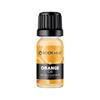 Bodyhub Orange Essential Oil, 10g for Diffuser, Humidifier, Massage, Aromatherapy, Skin & Hair Care view 1