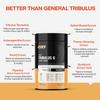 MyFitFuel Tribulus Terrestris +6 Herbs (2000mg) (120 Tablets) (Gokshura 50% Saponins, Ginseng, Kaunj, Safed Musli, Ashwagandha, Guduchi & Piperine 95%) For Performance, Muscle & Energy view 2
