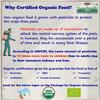TummyFriendly Foods Certified Organic Oats Porridge Mixes Trial Packs Combo | No Sugar, No Salt, No Chemicals, No Pesticides & No GMO| Rich in Beta-Glucan, Protein & Fibre | Maximum Possible Nutrition From Real Food For Little Ones | | 3 Baby Packs,  view 4