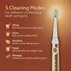 AGARO COSMIC MAX Sonic Electric tooth brush for adults with 5 modes, 7 brush heads, 1 Interdental head and rechargeable with 4 hours charge lasting up to 25 days (Champagne Gold) view 3