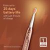 AGARO COSMIC PLUS Sonic Electric Tooth Brush For Adults with 5 Modes, 5 Brush Heads, 1 Interdental Head, Carry Case & Rechargeable with 4 Hours Charge Lasting Up to 25 Days, Power Toothbrush, (Rosegold) view 4