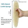 2 Adults Bamboo Toothbrush, 2 Tongue Cleaner and 2 Oval Loofah Body Scrubber view 3