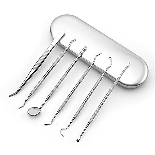 boxoon Dental Tools Set Portable 6PCS Rustproof Stainless Steel Professional Lightweight Dental Hygiene Kit Oral Care Kit Lightweight