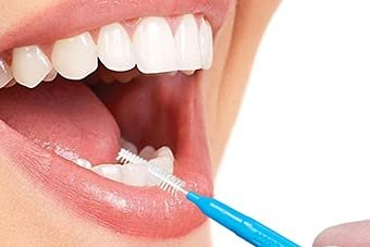 NMD Dental Intradental Brush
