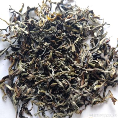 Ketley Gold Darjeeling White Tea Leaves - White Peony, 500g | High Grown Estate Tea From Darjeeling Season 2023 | 100g, Pack of 5