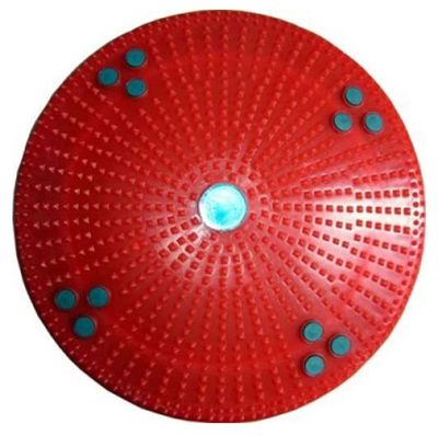 ACi Acupressure Twister - Small DISC