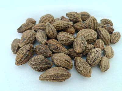 advancedestore Dried Whole Karakkaya - Harad - Aralu - Inknut - Haritaki - Kadukkai - Harar - Terminalia Chebula - 250 G - Loose Packed
