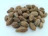 advancedestore Dried Whole Karakkaya - Harad - Aralu - Inknut - Haritaki - Kadukkai - Harar - Terminalia Chebula - 250 G - Loose Packed view 1