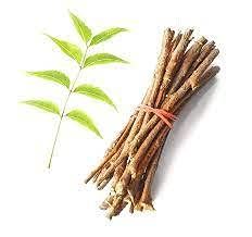 DEV HERBALS Neem Datun - Set of 5 Natural Anti-Bacterial Neem Twigs - Multicolour - Manual Toothbrush