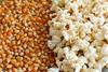 FreshoCartz Popcorn Kernel Seeds | Makki Seeds | Makka Seeds | Corn Seeds | 100% Popping Kernels (Extra Soft Popcorn Makka | Makai) (900 grams) view 4