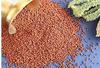 SAARA HERBAL FRESH Ragi Grain(Finger Millet) 2.950kg view 3