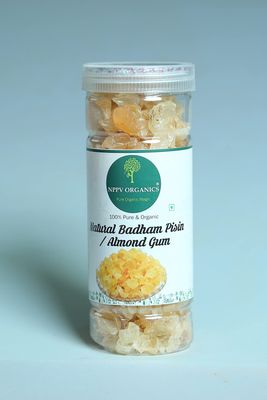 NPPV ORGANICS Natural Badam Pisin Almond Gum 100% Pure & Organic (500 g)