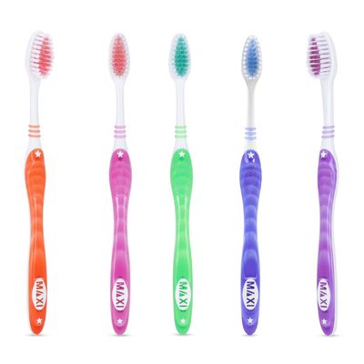 MAXI Tiger Soft Bristles Toothbrush, Multicolor (Pack of 12)