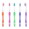MAXI Tiger Soft Bristles Toothbrush, Multicolor (Pack of 12) view 1