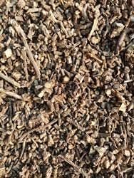 DRY GILOY STICKS / 100GRAM / GUDUCHI/GILOY STEM BY GOYAM MERCHANDO