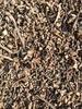DRY GILOY STICKS / 100GRAM / GUDUCHI/GILOY STEM BY GOYAM MERCHANDO view 1