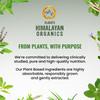 Vlados Himalayan Organics Giloy Extracts(GUDUCHI)500Mg | Antioxidant Properties | | Helps in Blood Purification | 120 Veg Tablets For Mens And Womens view 3