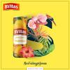 BVitas Mango Juice Drink - Pack of 24-250 ml Each | Fresh Fruit Canned Drinks | Delicious & Refreshing | Fat & Cholesterol Free view 4