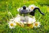 Ketley Gold Pure Chamomile Tea 300g | Loose Dried Chamomile Flowers view 4