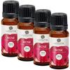 Aatiutik Essential Anti Bacterial Aroma Oil Diffuser for Home Electric and Tlight Diffuser | Home Fragrance | Rose Diffuser Oil for Home Office Spa Hotel - Set of 4, 15 ML Each view 1