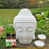 Aatiutik Essential Anti Bacterial Aroma Oil Diffuser for Home Electric and Tlight Diffuser | Home Fragrance | Rose Diffuser Oil for Home Office Spa Hotel - Set of 4, 15 ML Each view 4