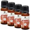 Aatiutik Essential Oil for Home Fragrance Diffuser - Premium Aroma Oil - Diffuser Oil for Home Fragrance - Long-Lasting Aromatic Fragrance - Ideal for Essential Oil Diffusers, Aromatherapy, Relaxation