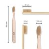 BambooIndia Bamboo Toothbrush Pack of 4 | 2 Kids & 2 Adults | Soft Bristles, BPA-Free, Dual Natural Color Tips | Eco-Friendly Biodegradable Wooden Handle | Natural Oral Care view 2