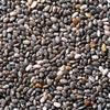 Organic Grocery Raw Seeds Mix for Eating - 1kg - Chia, Sunflower, Pumpkin & Watermelon (250g*4 Pack) (Super Saver Combo) Fresh and Healthy For Raksha Bandhan Festival Celebration | Raksha Bandhan Gift Pack For Family, Friends, Corporate Office Gifts  view 4