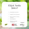 EKJOT HERBALS Immunity Combo | Giloy 500ml + Amla 500ml + Panch Tulsi 30ml | No Added Sugar | Purifies Blood | Relieves From Constipation | Improves Eyesight | GMP Certified view 3